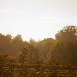 Runter vom Sofa – rein ins Leben
