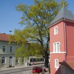 Runter vom Sofa