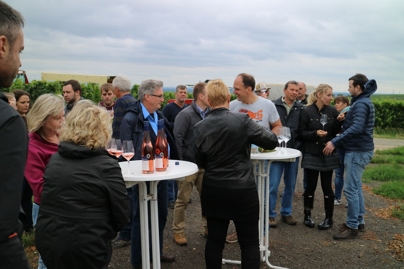 Brettspieltreff beim SC Dittelsheim-Heßloch